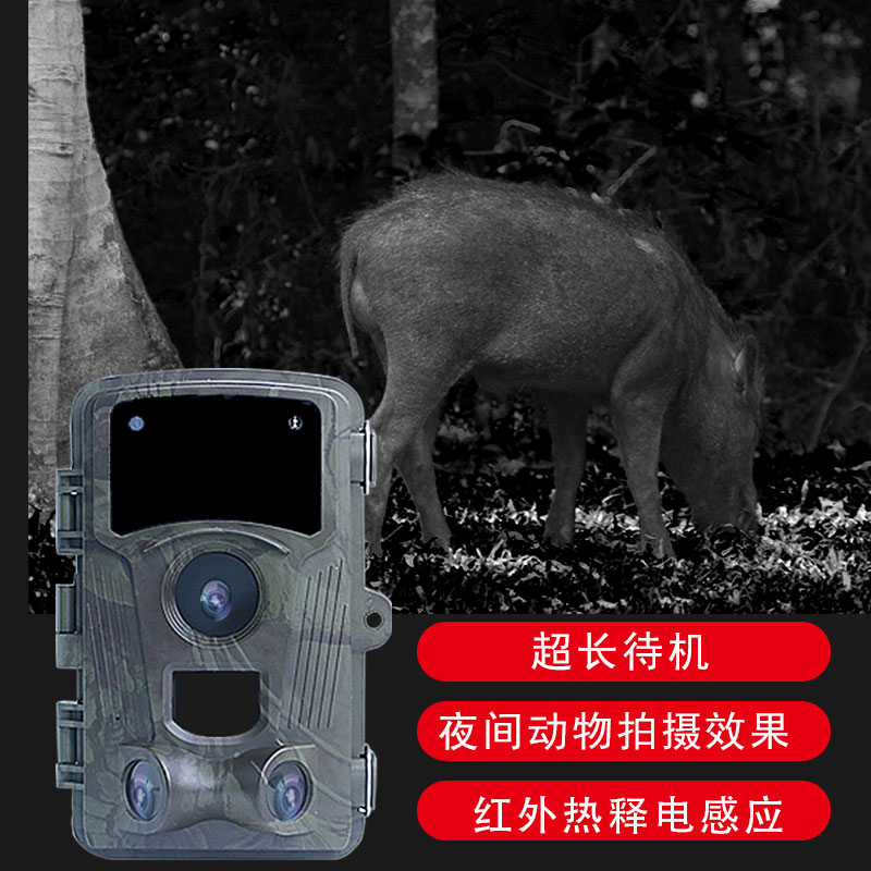 打獵相機
