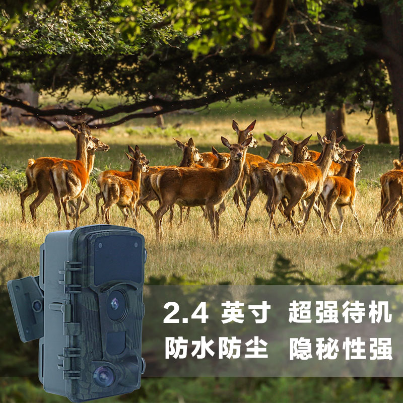紅外攝像機