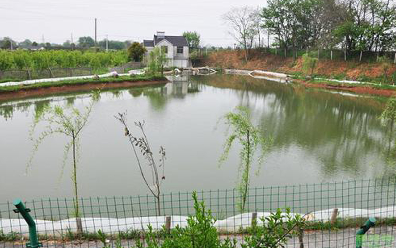 魚塘監控拍攝